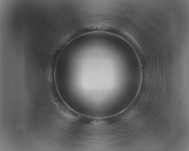 X0000073950403200608281220