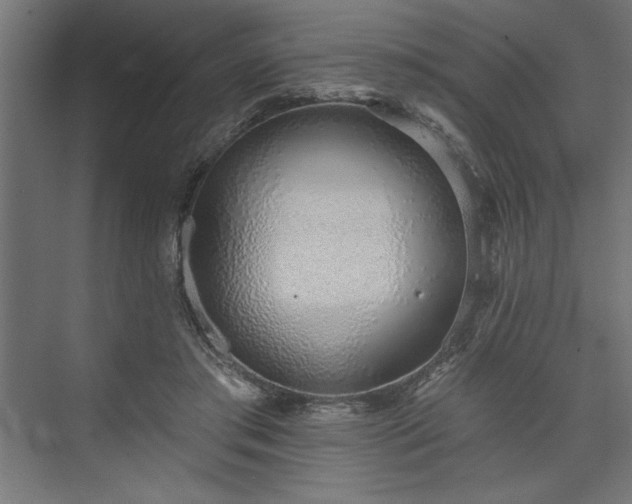 X0000073950405200608281220