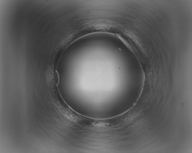 X0000073950407200608281220