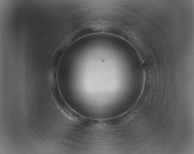 X0000073950408200608281220