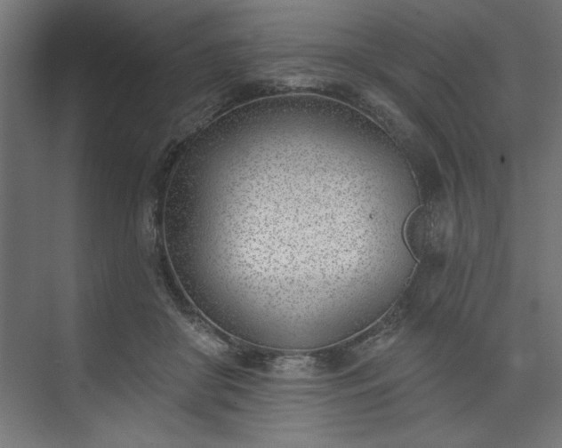 X0000073950410200608281220