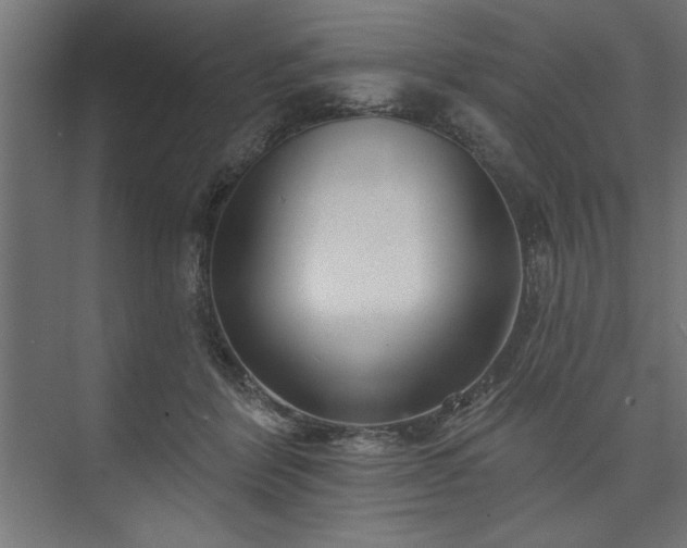 X0000073950412200608281220