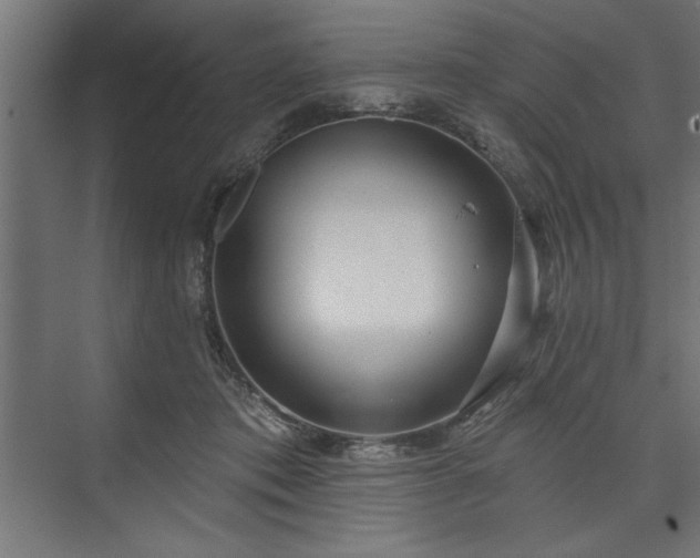 X0000073950413200608281220