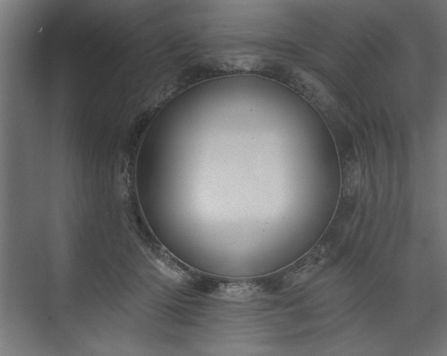 X0000073950414200608281220