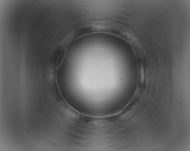 X0000073950417200608281220