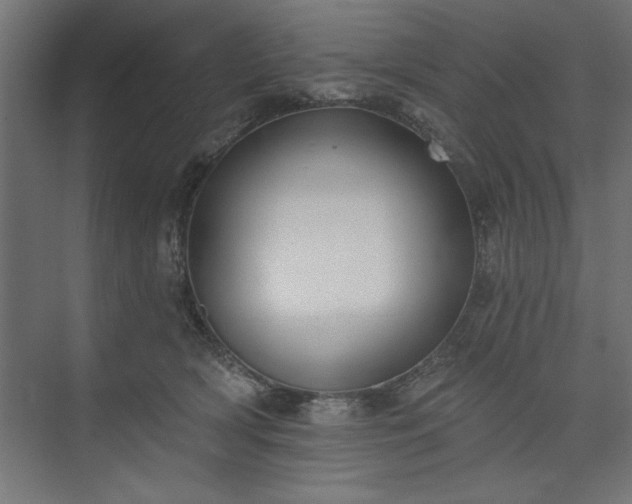 X0000073950418200608281220