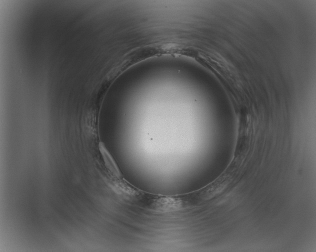 X0000073950421200608281220