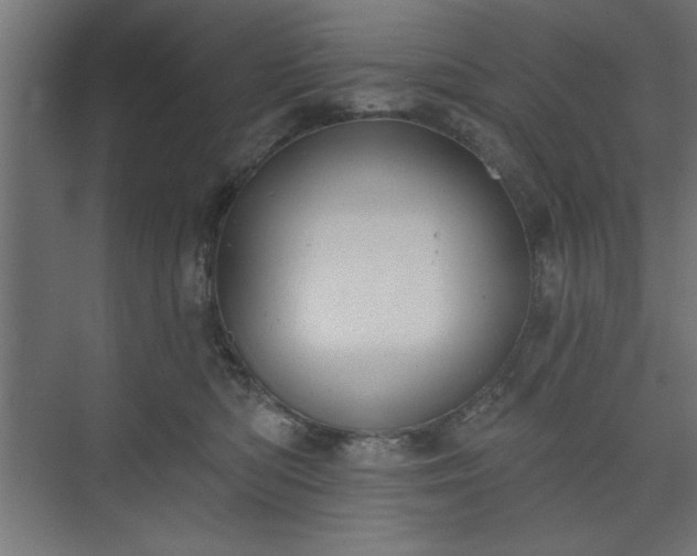 X0000073950422200608281220