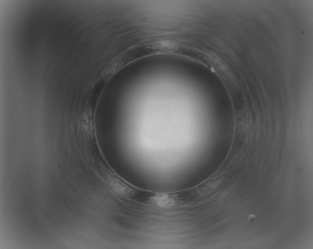 X0000073950425200608281220