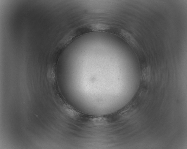 X0000073950426200608281220