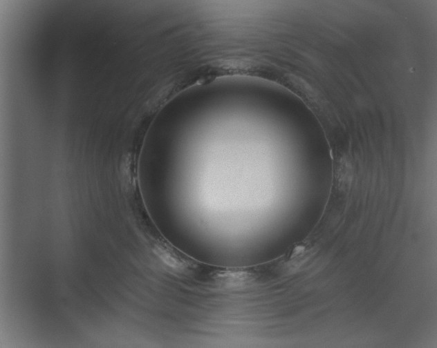 X0000073950428200608281220