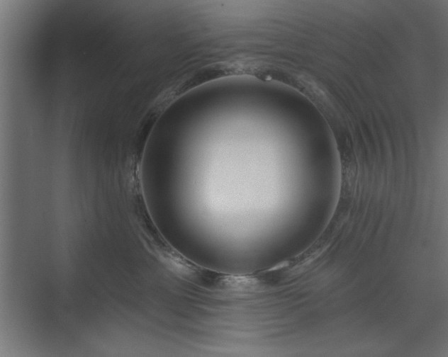 X0000073950429200608281220