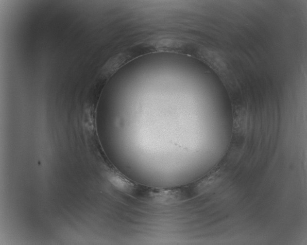 X0000073950430200608281220