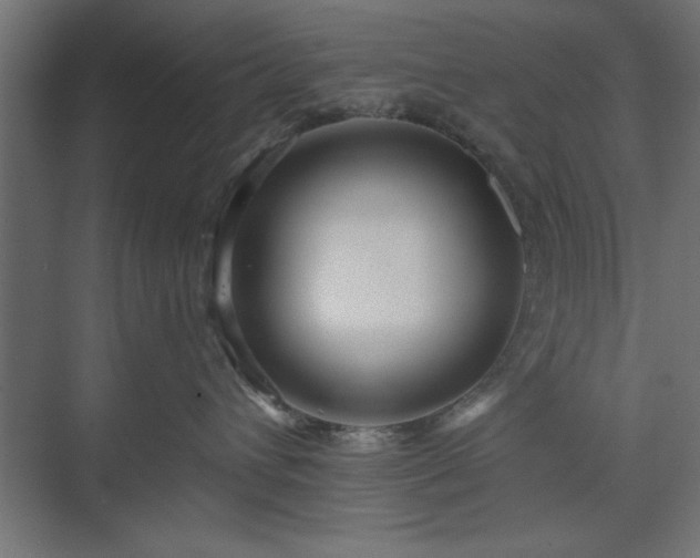 X0000073950432200608281220