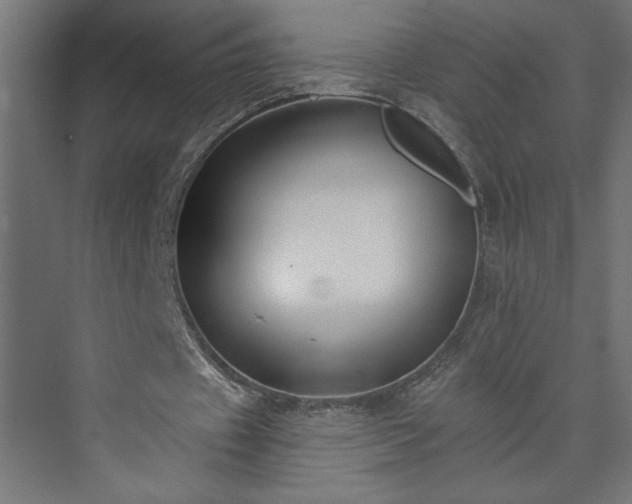 X0000073950433200608281219