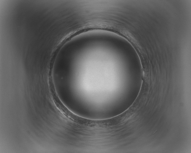 X0000073950434200608281219