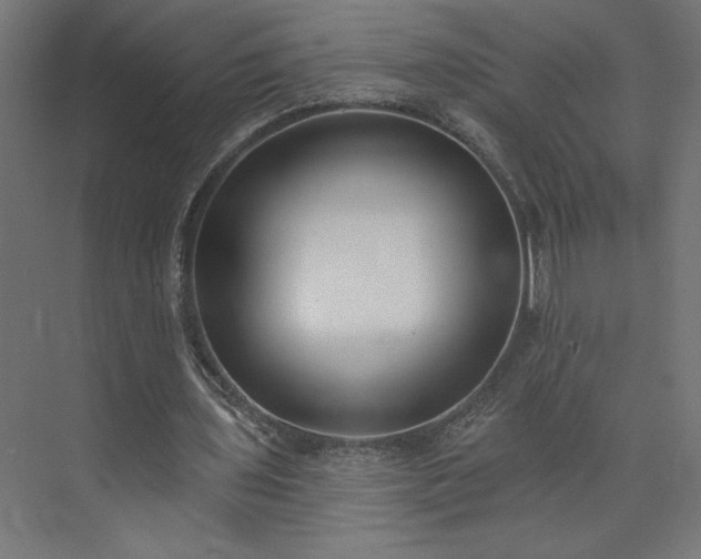 X0000073950435200608281219