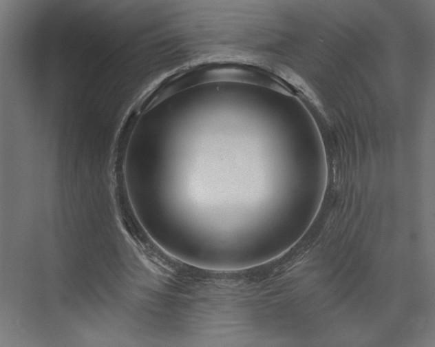 X0000073950436200608281219