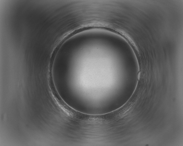 X0000073950437200608281219