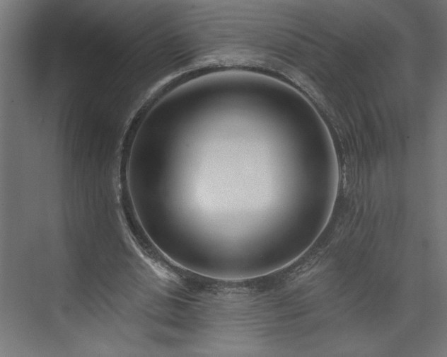 X0000073950438200608281219