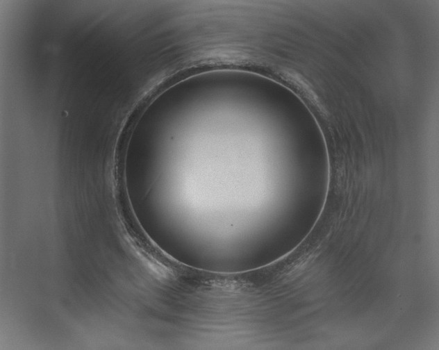 X0000073950439200608281219