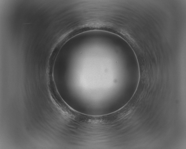 X0000073950440200608281219