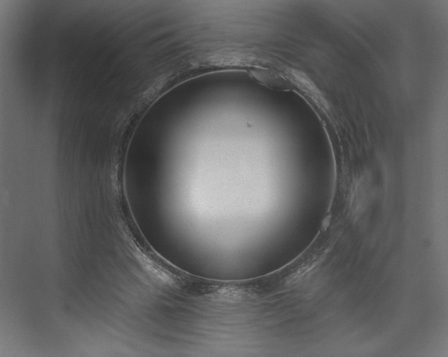 X0000073950441200608281219