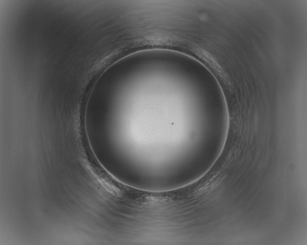 X0000073950442200608281219