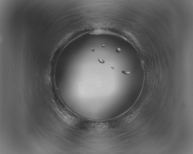 X0000073950443200608281219