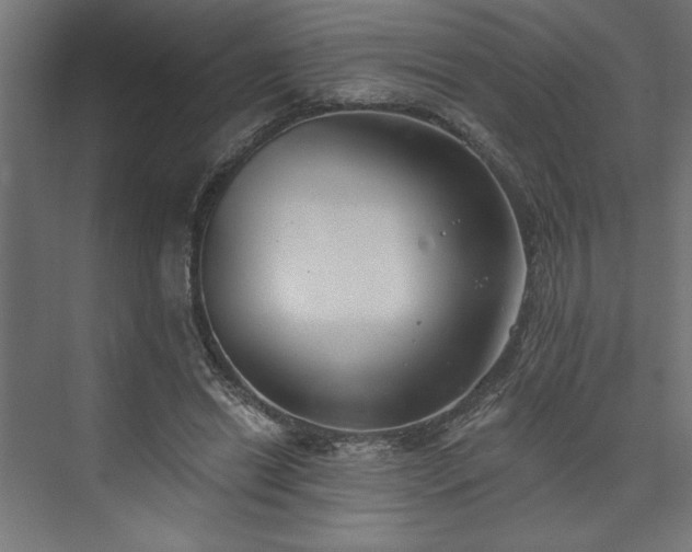 X0000073950446200608281219