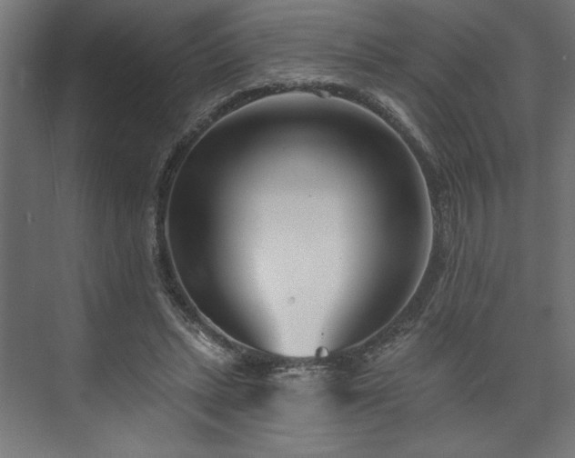 X0000073950447200608281219