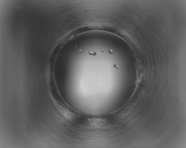 X0000073950448200608281219