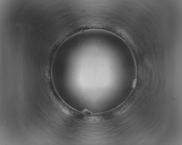 X0000073950449200608281219