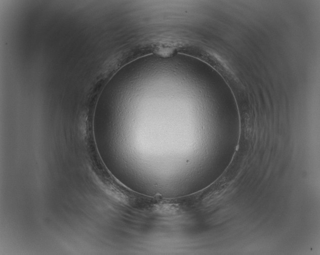 X0000073950451200608281219