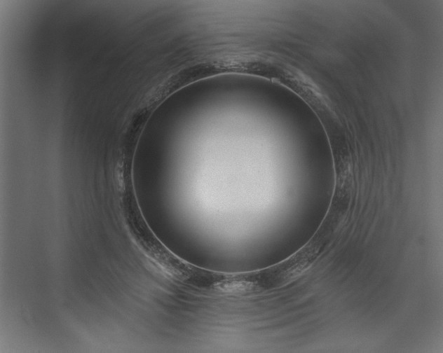 X0000073950452200608281219