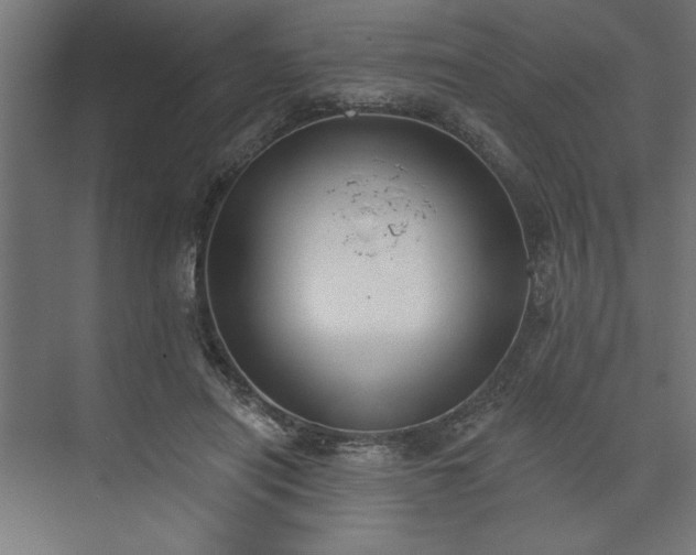 X0000073950454200608281219