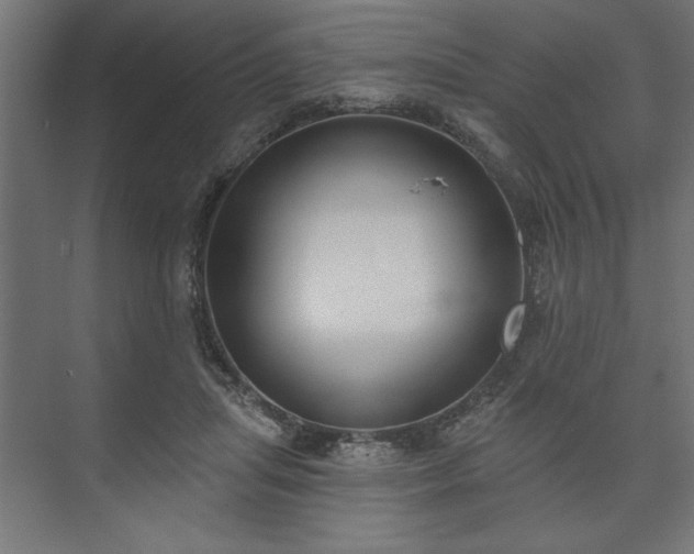 X0000073950455200608281219