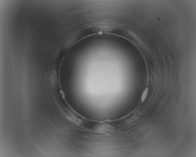 X0000073950459200608281219