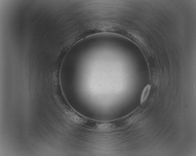 X0000073950461200608281219