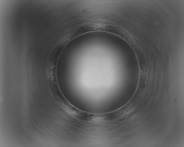 X0000073950462200608281219