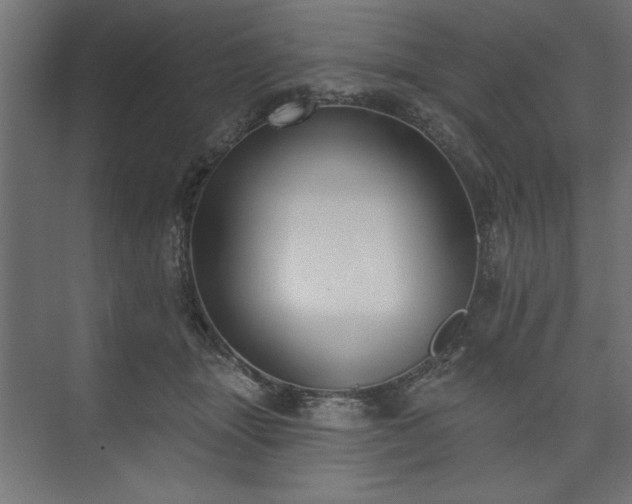 X0000073950463200608281219