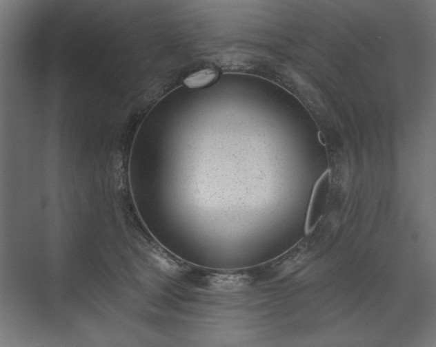 X0000073950465200608281220