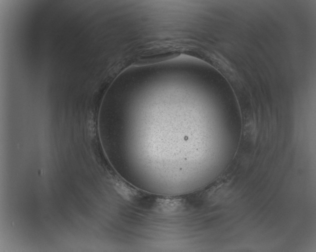 X0000073950469200608281220