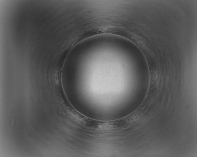 X0000073950470200608281220