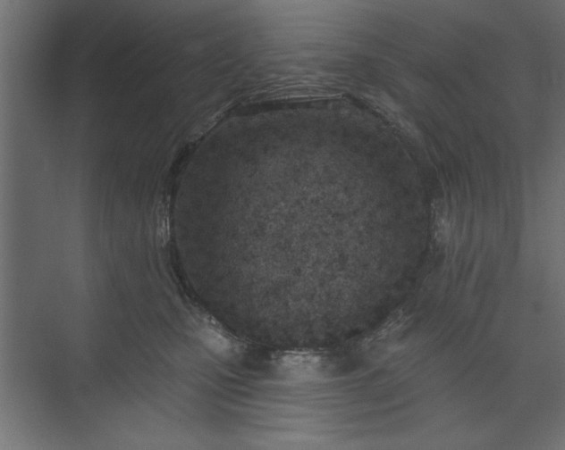 X0000073950471200608281220