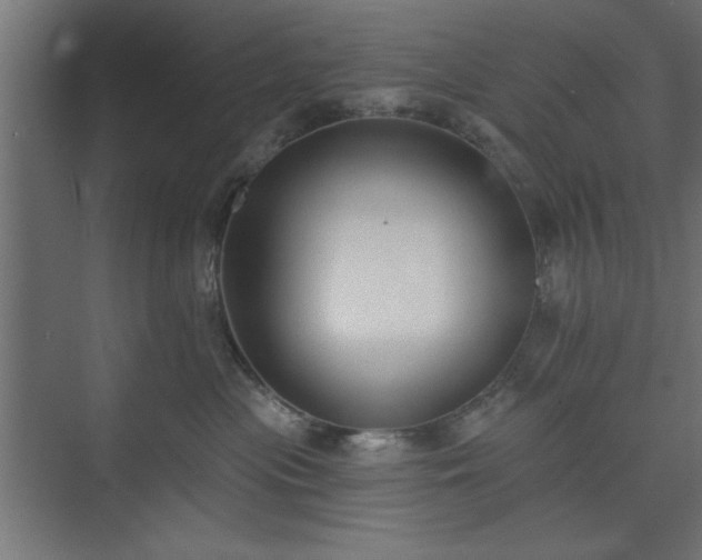 X0000073950477200608281220