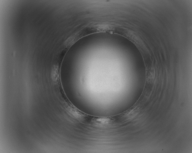 X0000073950478200608281220