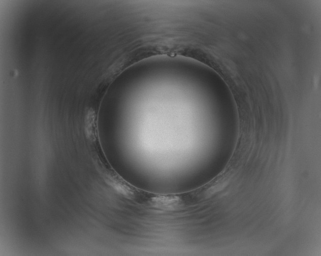 X0000073950480200608281220