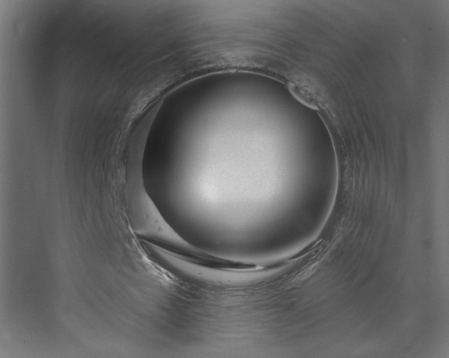 X0000073950481200608281219