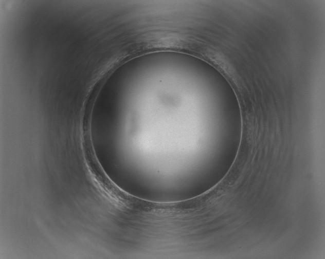 X0000073950482200608281219